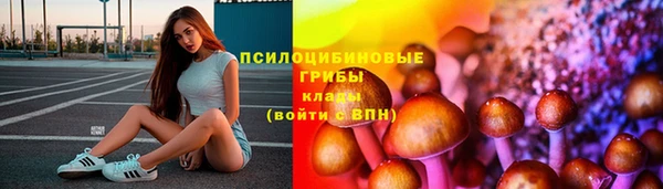 метамфетамин Гусев