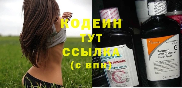 трава Гусь-Хрустальный